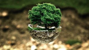 Factores-de-calidad-ambiental