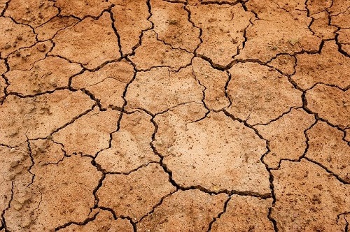 contaminacion del suelo