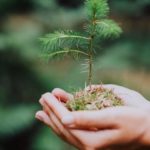 sostenibilidad-y-desarrollo-sostenible