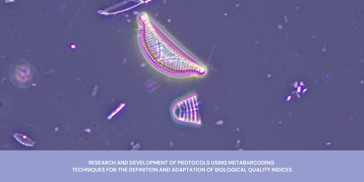 Research and development of protocols using metabarcoding techniques for defining and adapting biological water-quality indices based on diatoms and benthic crustaceans