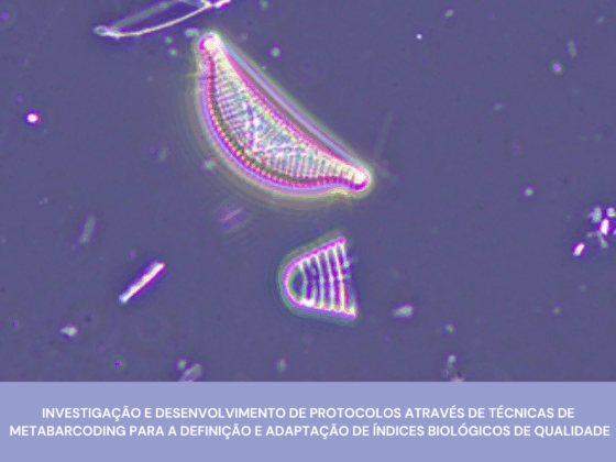 Investigação e desenvolvimento de protocolos através de técnicas de metabarcoding para a definição e adaptação de índices biológicos de qualidade da água baseados em diatomáceas e crustáceos bentónicos