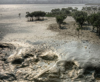 Curso de gestión de suelos contaminados