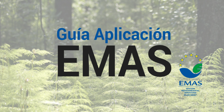 Guia-Aplicacion-EMAS-1