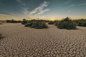 contaminacion del suelo causas y soluciones