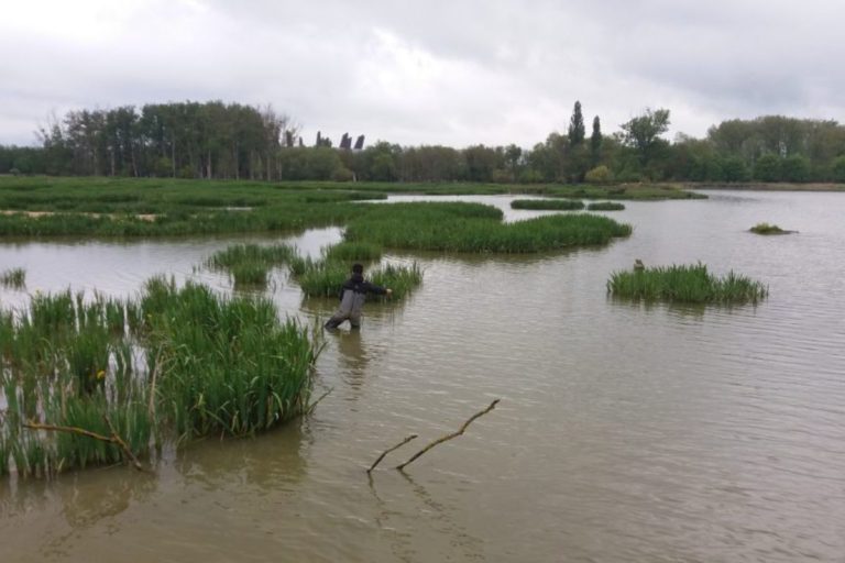 Lagunas Ruidera