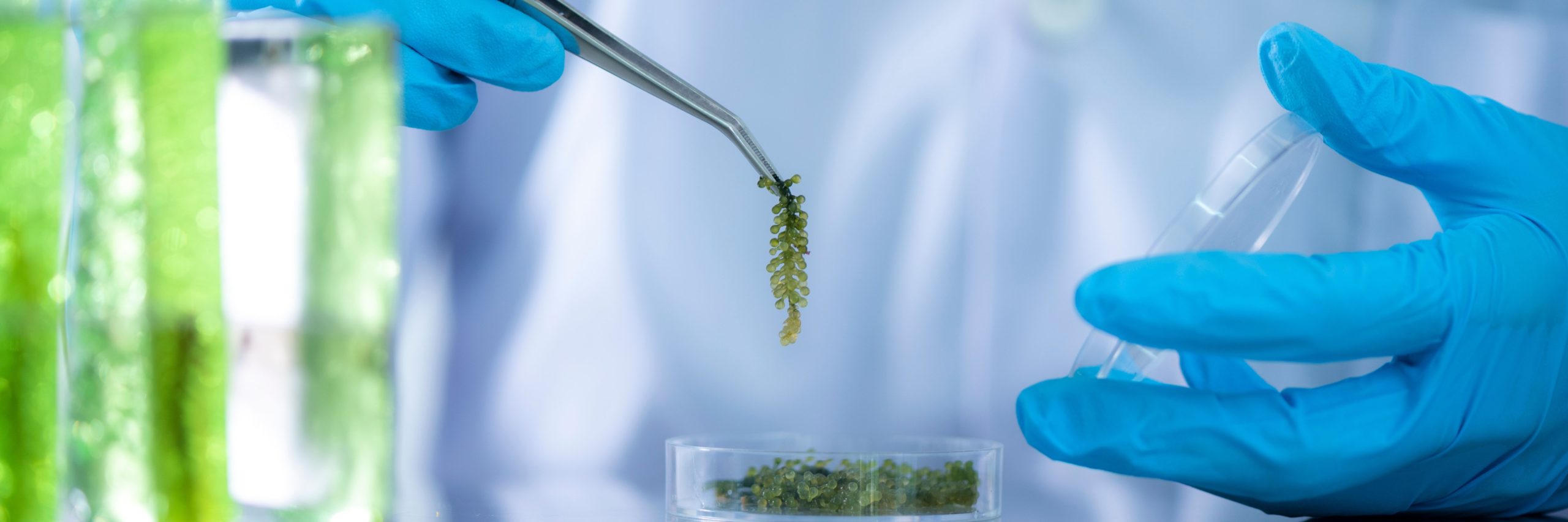 Net Indicator For Lab Calculation of biological indicators | Eurofins Environment Testing
