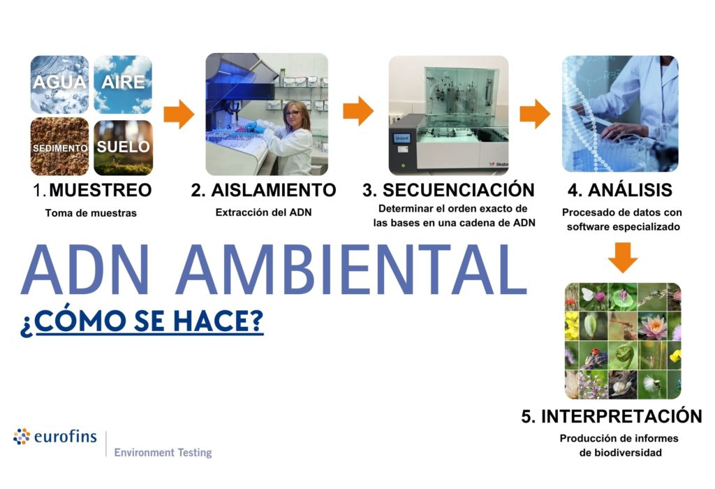 ADN ambiental cómo se hace