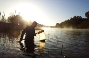 Evaluación del estado ecológico del agua