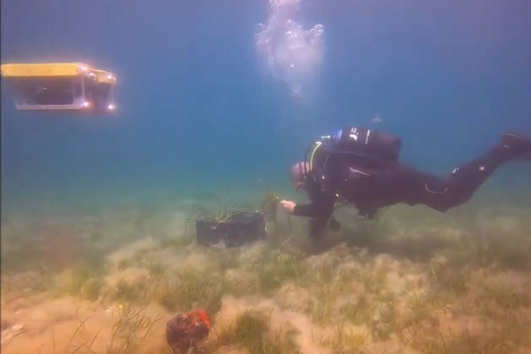 inspección remota comunidades marinas