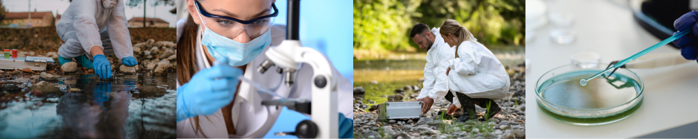 técnico ecología acuática