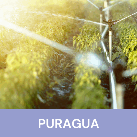 PURAGUA