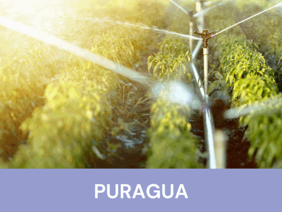 Integrated Platform for the Treatment, Monitoring and Safe Reuse of Water in Climate-Vulnerable Environments (PURAGUA)