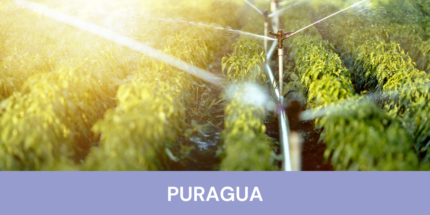 Integrated Platform for the Treatment, Monitoring and Safe Reuse of Water in Climate-Vulnerable Environments (PURAGUA)