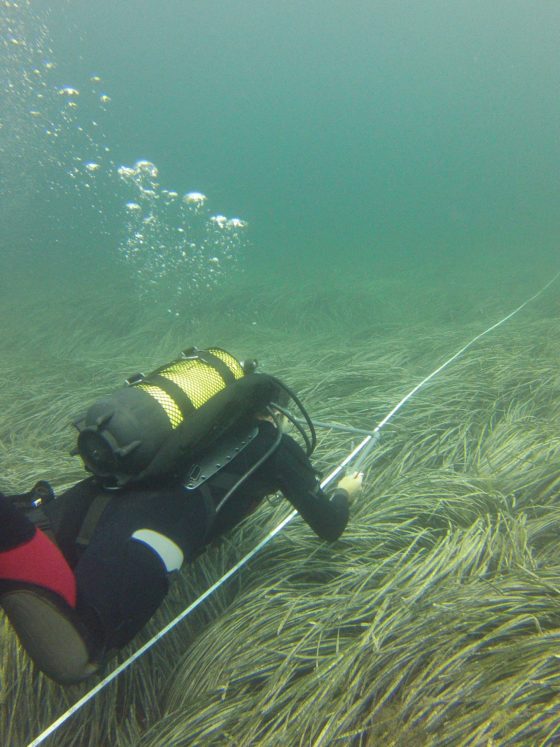 Prospección de fondos marinos