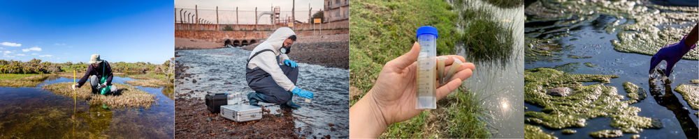 personal muestreo valencia