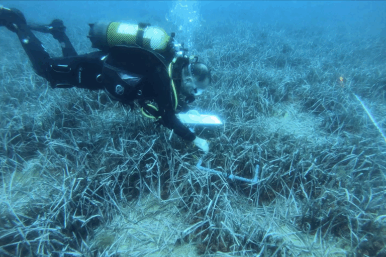 buceo científico islas baleares