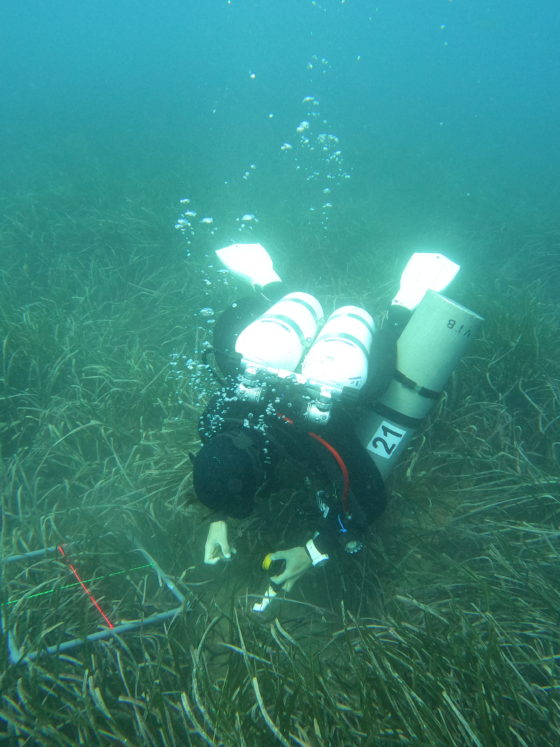 prospección de fondos marinos