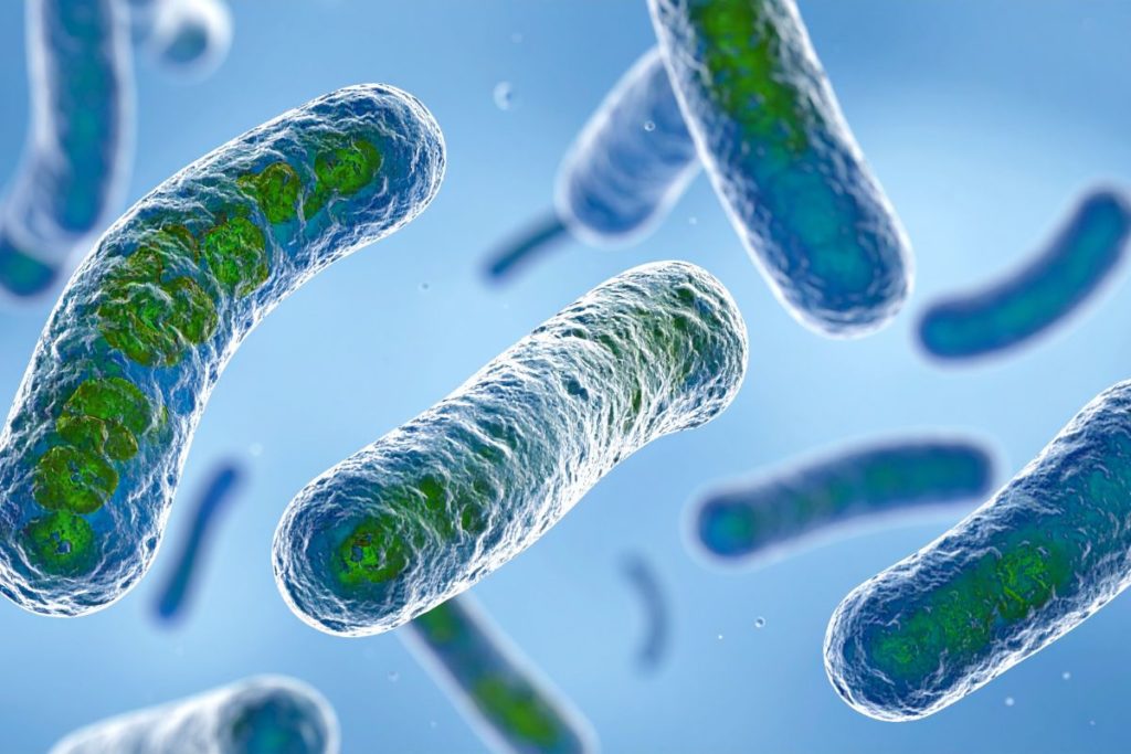análisis legionella Eurofins