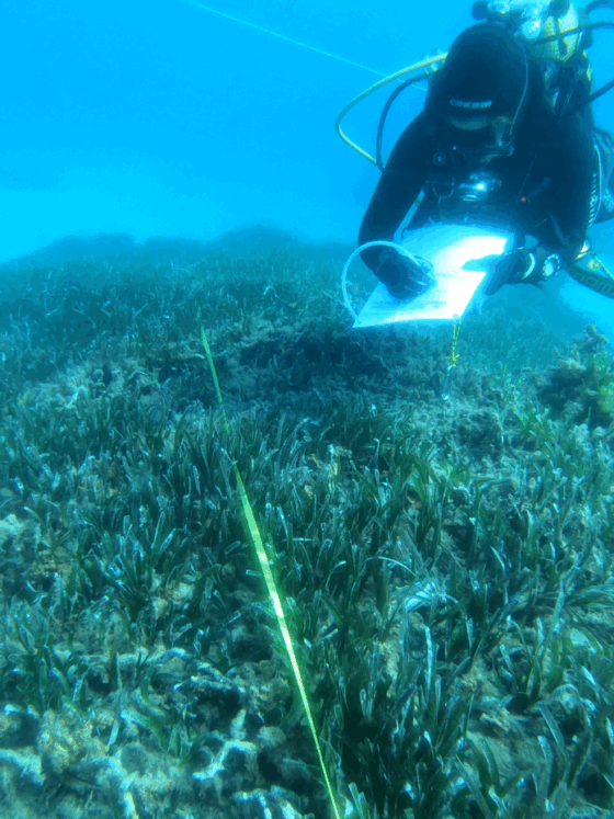 prospección de fondos marinos
